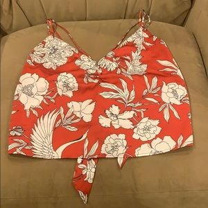 NWOT Backless Crop Top